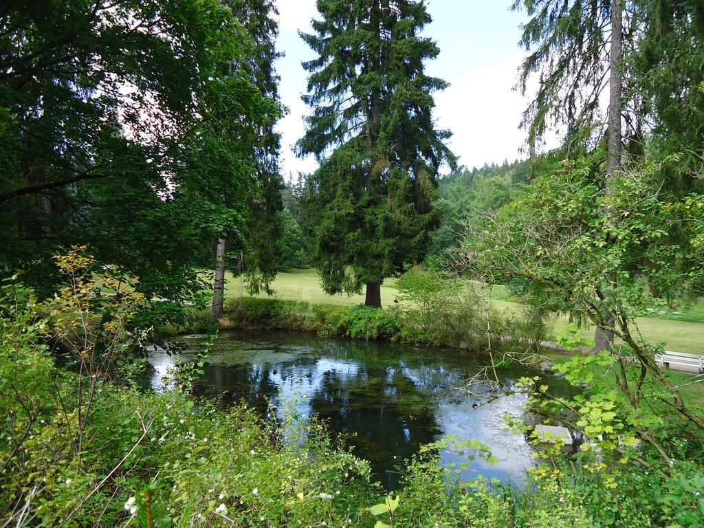 Hotel - Pension Vesta Bad Elster Buitenkant foto